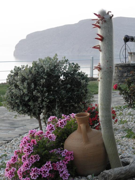 Villa Tholos Crete Kavousi  Екстер'єр фото