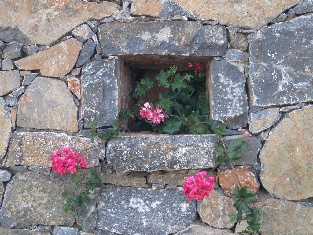 Villa Tholos Crete Kavousi  Екстер'єр фото
